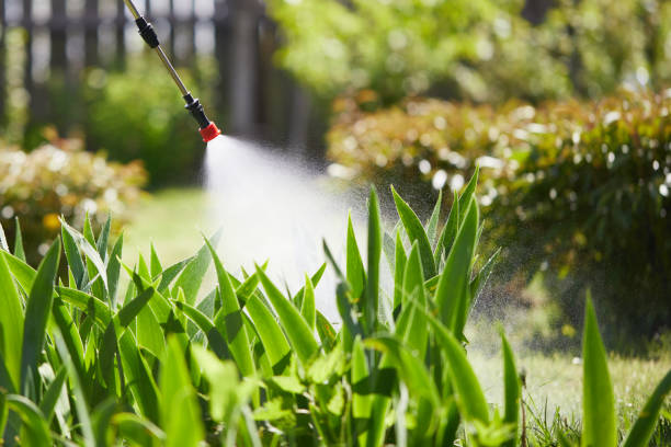 24/7 Emergency Mosquito Control experts in Colona, IL
